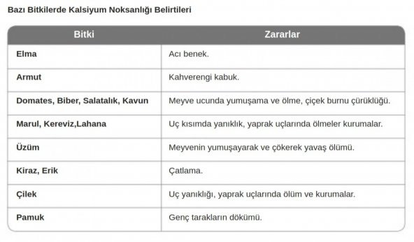 AMİNOQUELANT CA PLUS Kalsiyum 1 LT - 2
