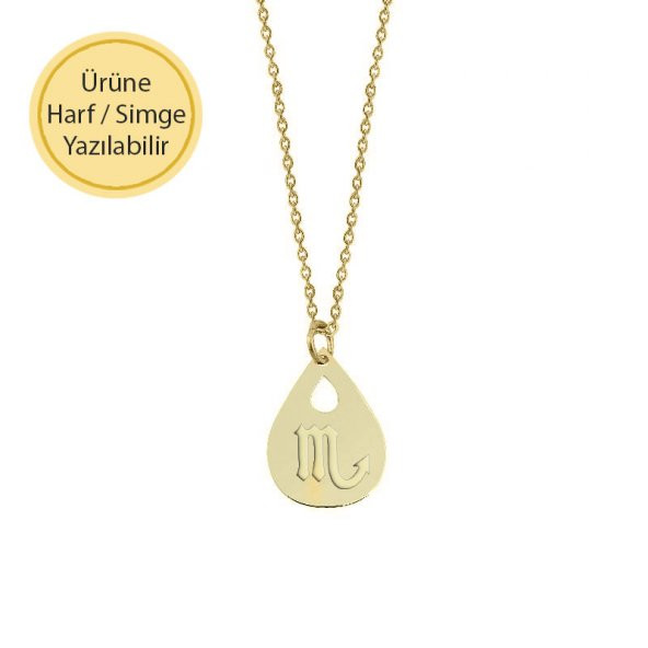 14 Ayar Altın Damla Plaka Kolye ürün görseli