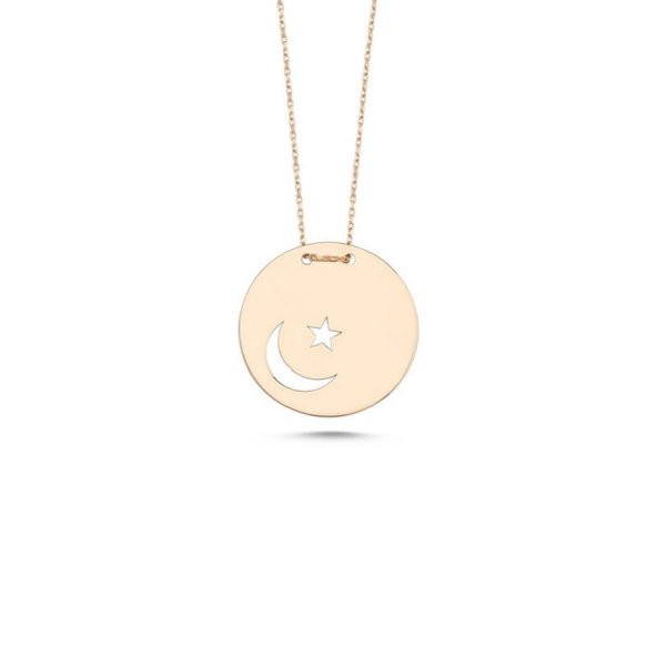 14 Ayar Altın Plaka Ayyıldız Kolye ürün görseli