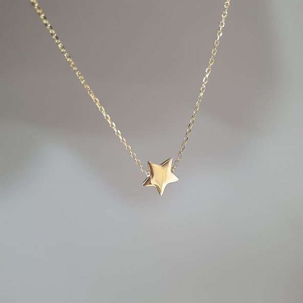 14 Ayar Altın Yıldız Kolye - Resim 2