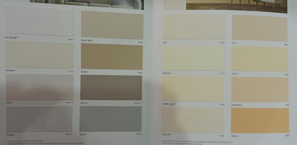 Fawori Fenomen Silikonlu İç Cephe Boyası 15 Lt - 2