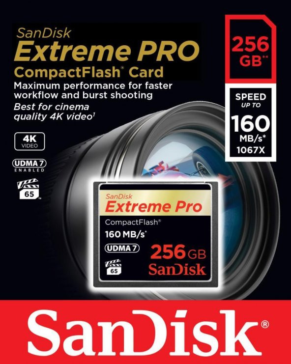 Sandisk Extreme Pro CF 256GB Compact Flash Hafıza Kartı 160MB SDCFXPS-256G-X46 UDMA7