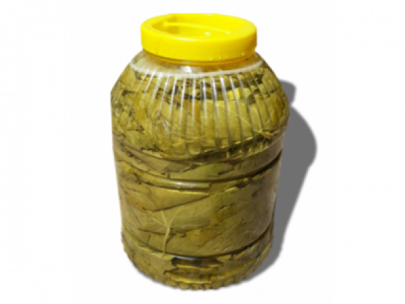 Yeni MahsülTaze Salamura Yaprak ince yaprak 5 kg luk pedbidonlarda