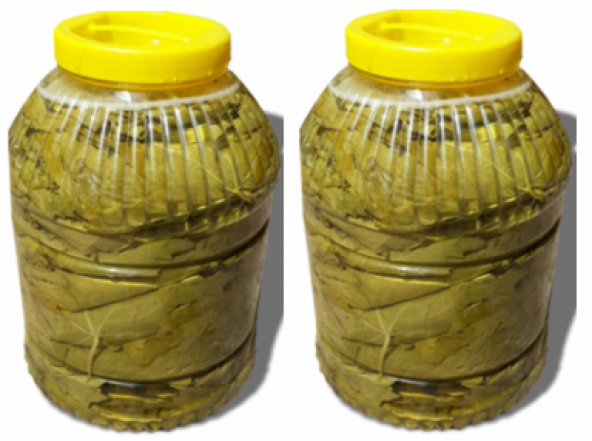 Yeni MahsülTaze Salamura Yaprak ince yaprak 5 kg luk pedbidonlarda 2li set