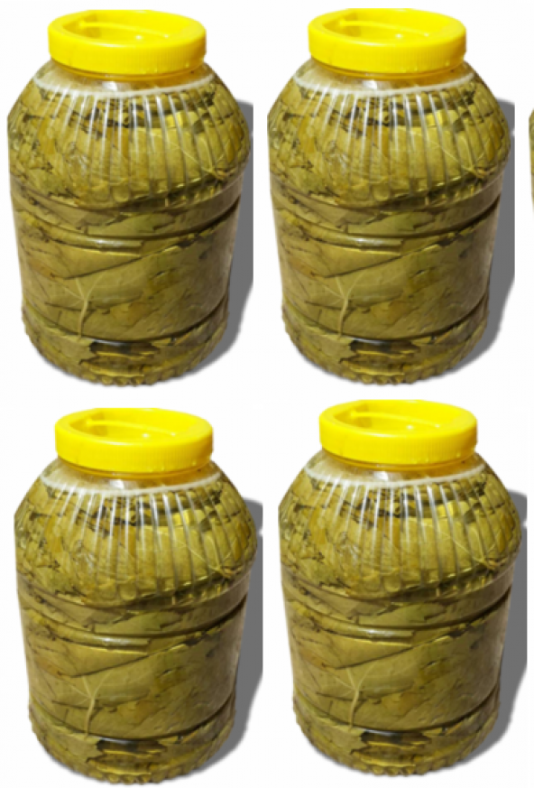 Yeni MahsülTaze Salamura Yaprak 5 kg luk pedbidonlarda 4 lü set top:4 ped