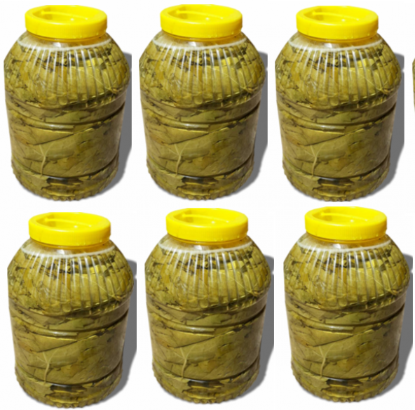 Yeni MahsülTaze Salamura Yaprak 5 kg luk pedbidonlarda 6 lı set