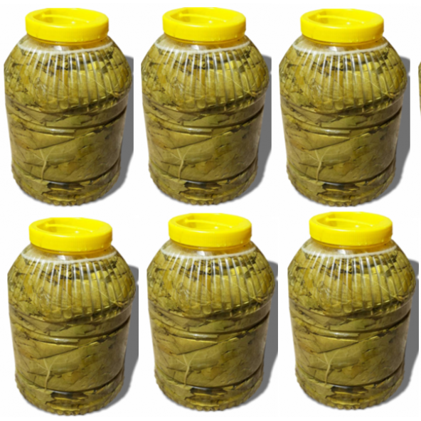 Yeni MahsülTaze Salamura Yaprak 5 kg luk pedbidonlarda 6 lı set - 2