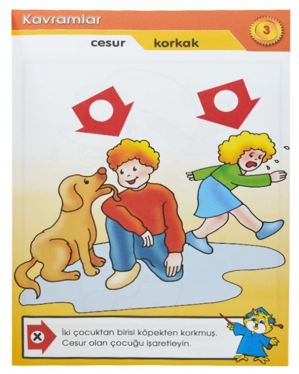 Eğlenceli Kavramlar 5 Kitap Takım - 7