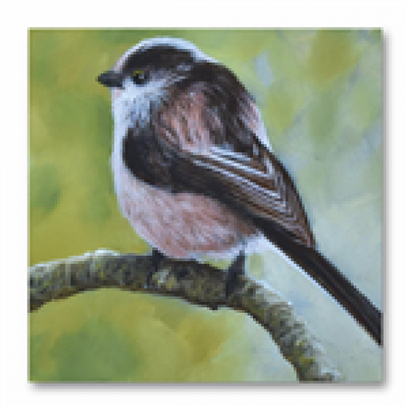 Sacayak Kanvas Kuş ve Doğa 50x50 Kanvas Tablo