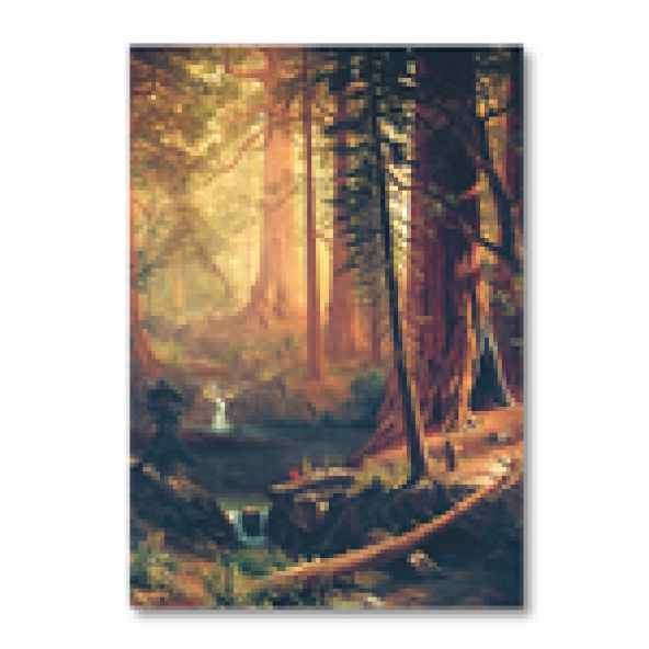 Sacayak Kanvas Orman ve Ağaç Manzaralı 50x70 Kanvas Tablo