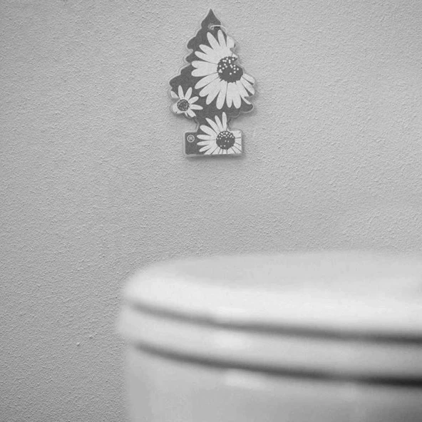 Little Trees 3'lü TÜRK Bayrağı Vanilya Aromalı Asma Oto Kokusu - 5