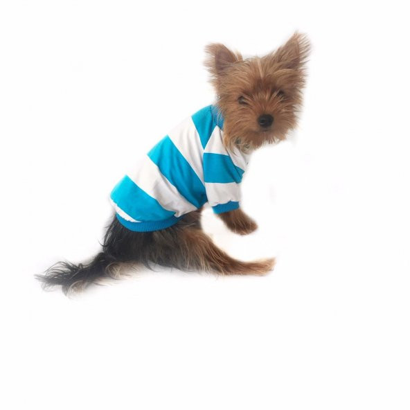 Wide Blue Stripe Oval Yaka Tişört Köpek Kıyafeti Köpek Elbisesi