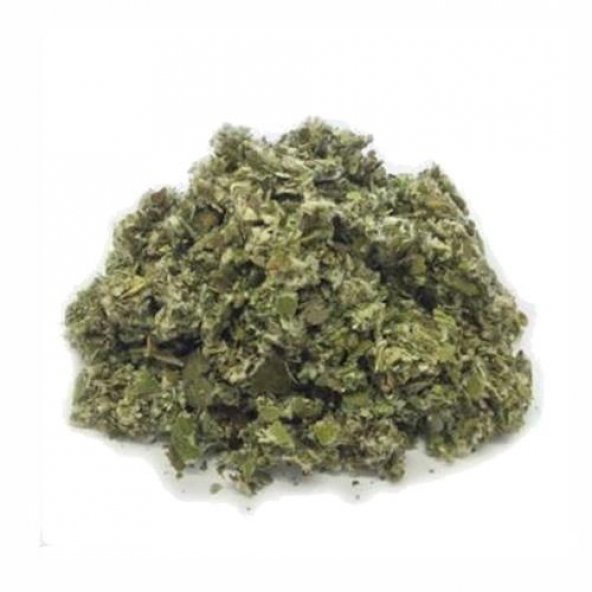 MSR ÖKSÜRÜK OTU 60 GR