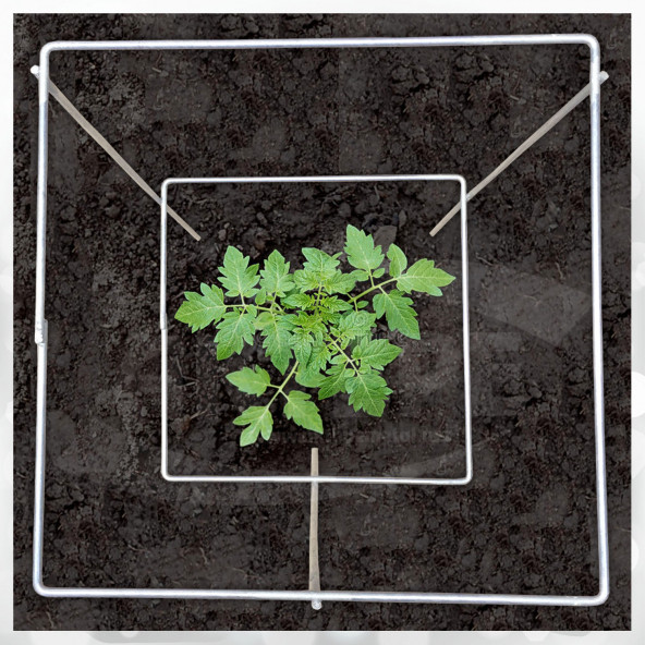 10 Adet Domates Teli 74 Cm Boyunda Domates Kafesi Bitki Desteği Tel Kafes - 3