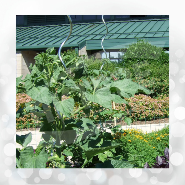 10 Adet 150 Cm Metal Spiral Bitki Destek Çubuğu Fidan Bağlama Teli ve Çiçek Teli - 7