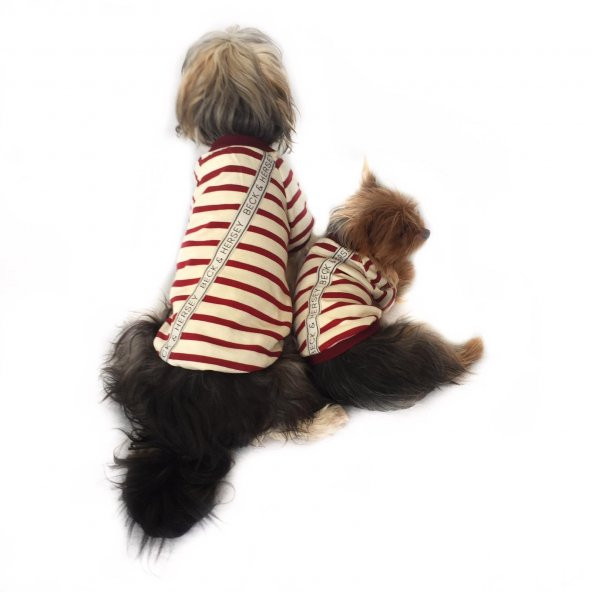 Beck Red Stripe Oval Yaka Tişört Köpek Kıyafeti Köpek Elbisesi