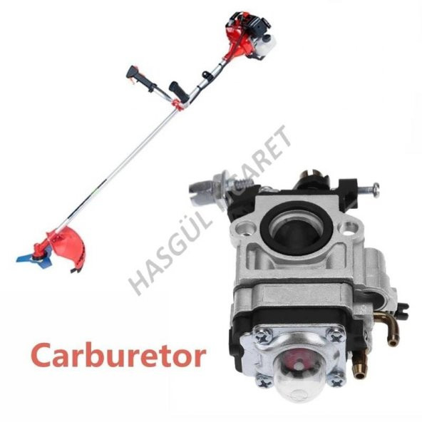 Hsgl Motorlu Tırpan TL52 Karbürtör cg/bg Sırt Ve Yan Modeller bahçe makina aksesuar - 4