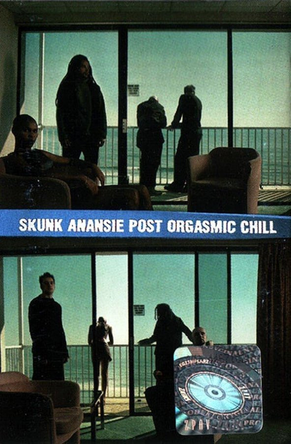 SKUNK ANANSIE - POST ORGASMIC CHILL (MC)