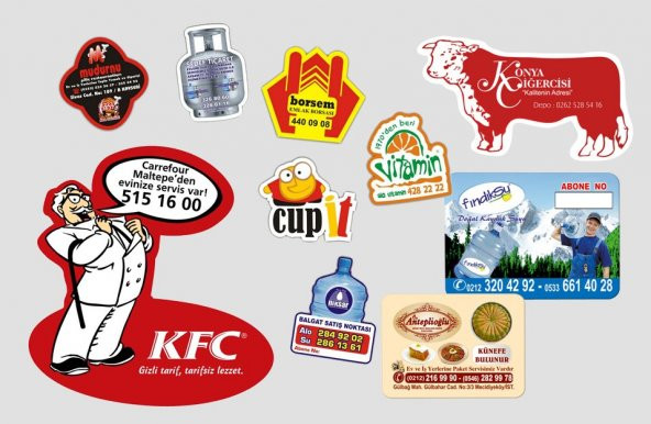 1000 Adet Standart Kesim Oval Renkli Selefon Magnet Mıknatıs - 7