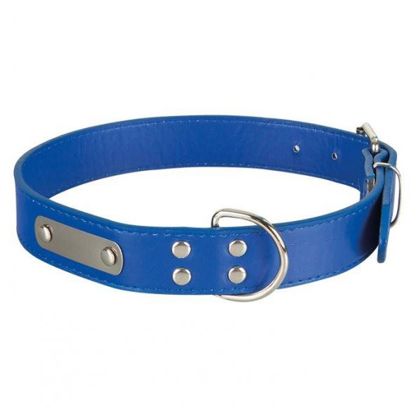 Sanlian Köpekler İçin İsimlikli Boyun Tasması 1,5 cm x 35 cm - 2