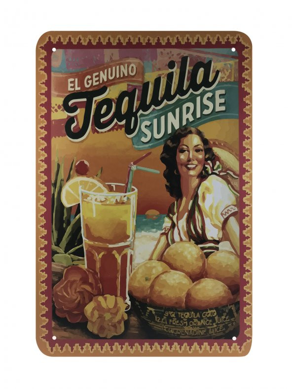 RETRO DİJİTAL BASKI METAL TABLO,POSTER