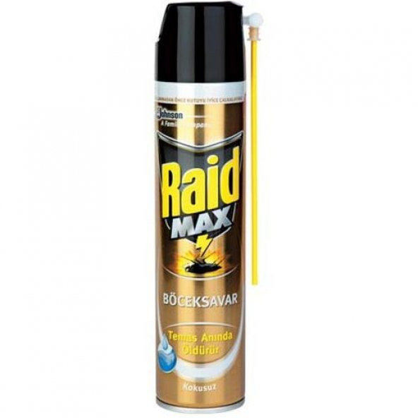 Raid Böcek Savar Max 300 ml