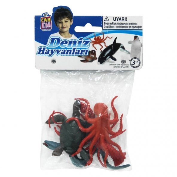 PVSde Hayvanlar - 3