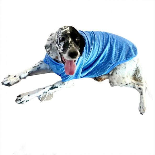 Mavi Martı Desen Tişört Büyük Köpekler İçin