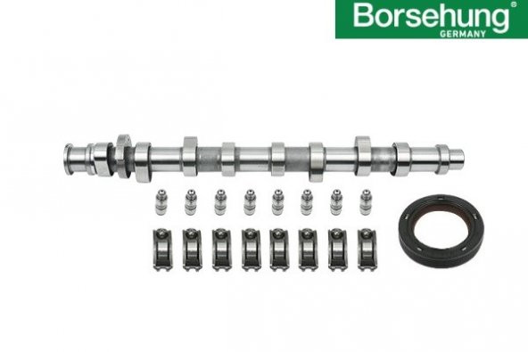 EKSANTRİK MİLİ TAMİR KİTİ ( Tapet & İtici ) / 06B109100Q / Ürün Marka:BORSEHUNG Germany