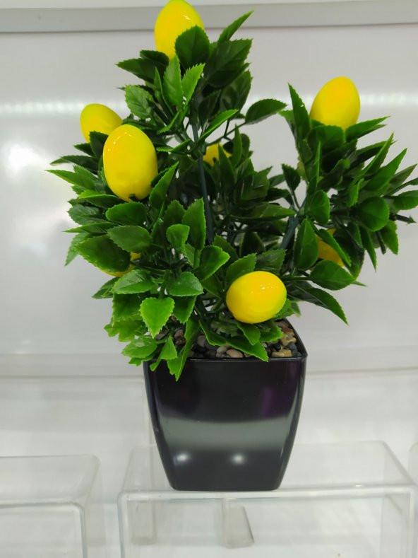 Siyah Saksıda Mini Limon Ağacı Yapay Çiçek 30 cm