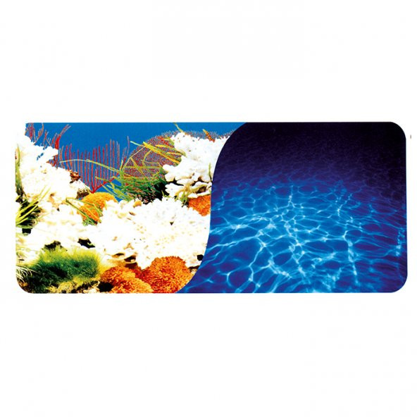 Chicos 80 cm Mercan-Deniz 9029/9063 Plastik Poster