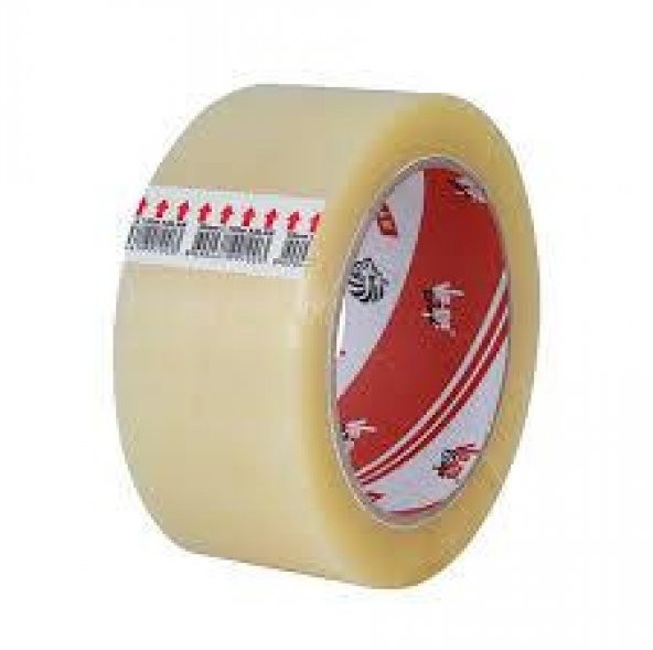 VEGE KOLİ BANDI ASLAN 45X40