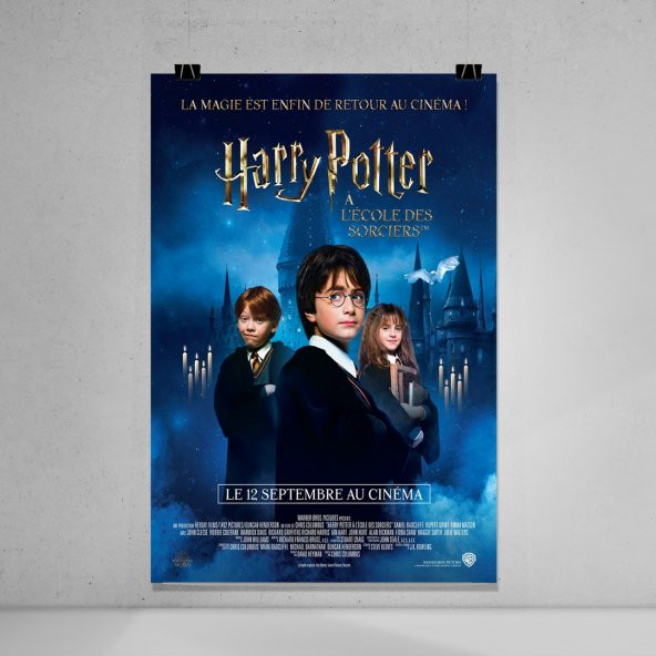 Harry Potter Film Afişi - Harry Potter Serisi Filmi Posteri