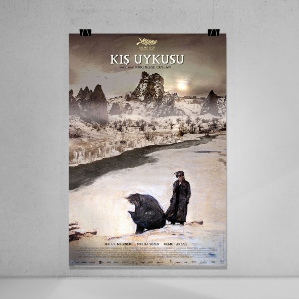 Kış Uykusu Film Afişi - Kış Uykusu Filmi Posteri