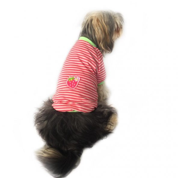 Strawberry Pink Oval Yaka Tişört Köpek Kıyafeti Köpek Elbisesi