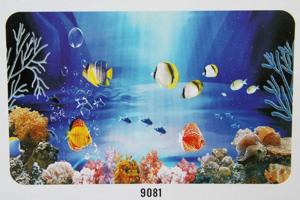 Poster 40 cm 15 mAkvaryum Arka Posteri - 2