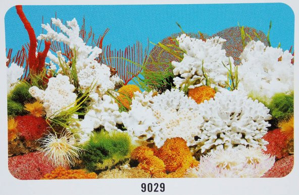 Poster 70 cm 15 mAkvaryum Arka Posteri - 2