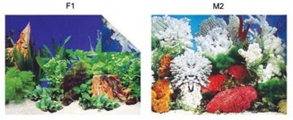 Kw Zone Plastik Poster 48 cm 15 mAkvaryum Arka Posteri - 2