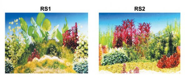 Kw Zone Plastik Poster 48 cm 15 mAkvaryum Arka Posteri - 2