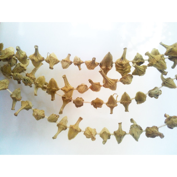 Meşhur Kargı Kuru Çiçek Bamyası-(500 GR)