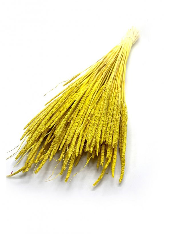 Sarı Solucan Otu 80 Gr