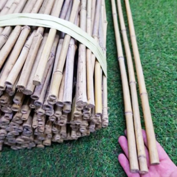 BAMBU BİTKİ DESTEK ÇUBUĞU 180 CM  (5 ADET) - 2