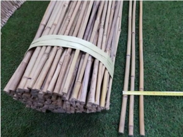 BAMBU BİTKİ DESTEK ÇUBUĞU 180 CM  (5 ADET) - 3