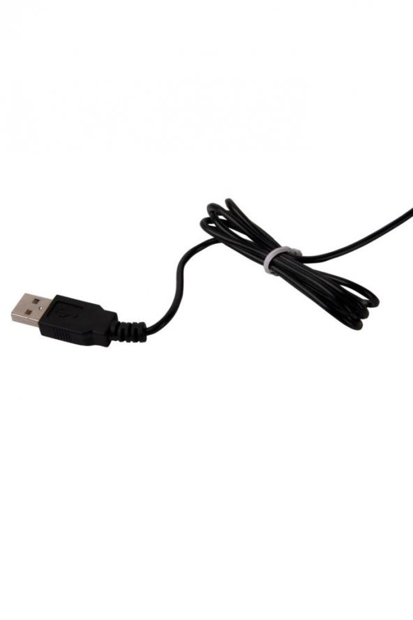 Nektar 12302400 Usb-Hub Masa Saati - 5