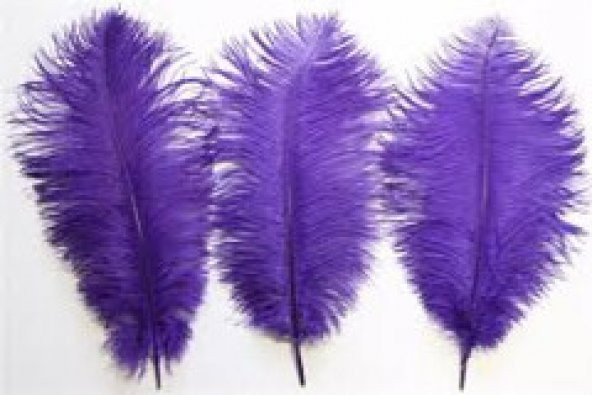 DEVE KUŞU TÜYÜ ÇEŞİTLERİ 40-45 CM LİK - Resim 2