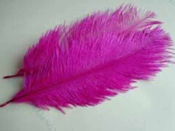 DEVE KUŞU TÜYÜ ÇEŞİTLERİ 40-45 CM LİK - Resim 3