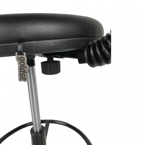 Goldsit Mega Tam Çemberli Sırtlı Tabure 200 P (Siyah Deri) - 8