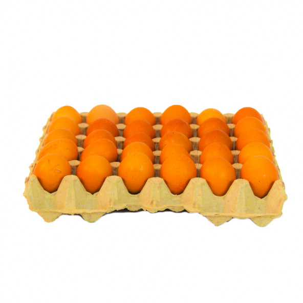30 LU KARTON YUMURTA VİYOLÜ 18 LBS 280 ADET - Resim 2