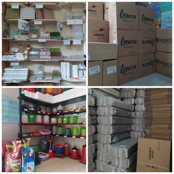 30 LU KARTON YUMURTA VİYOLÜ 18 LBS 280 ADET - Resim 4