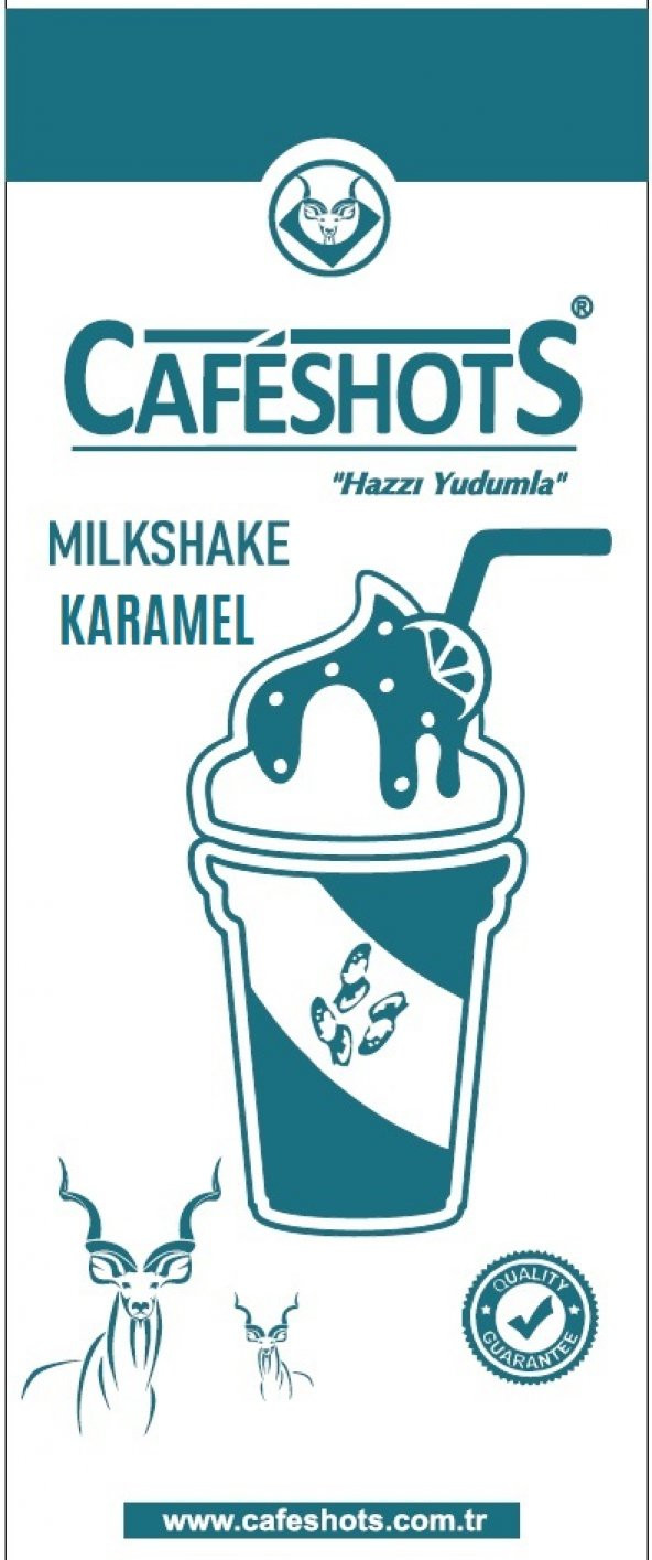 CAFESHOTS MİLKSHAKE KARAMEL 1000 GR - 2